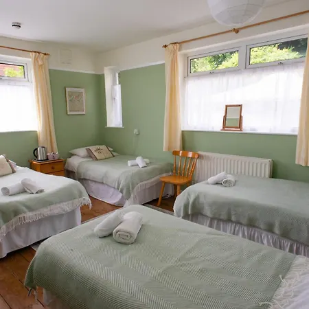 Healing Waters Sanctuary: Glastonbury's Holistic Retreat-3